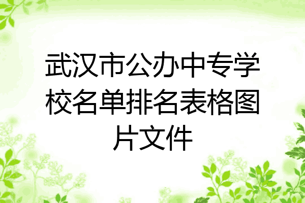 武汉市公办中专学校名单排名表格图片文件