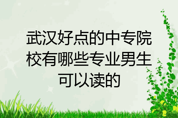 武汉好点的中专院校有哪些专业男生可以读的