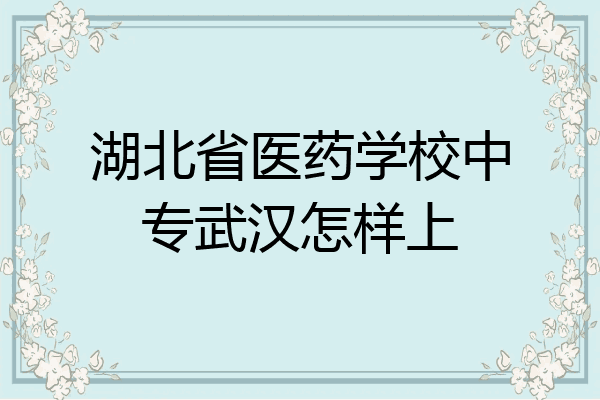 湖北省医药学校中专武汉怎样上