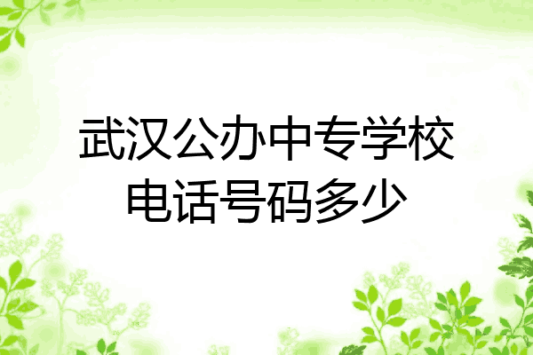 武汉公办中专学校电话号码多少