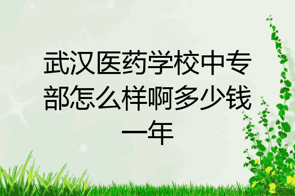武汉医药学校中专部怎么样啊多少钱一年