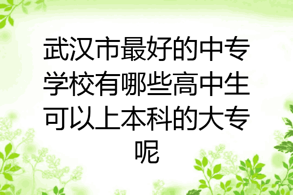 武汉市最好的中专学校有哪些高中生可以上本科的大专呢