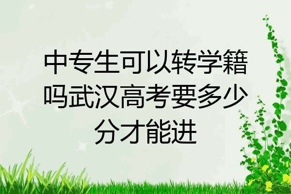 中专生可以转学籍吗武汉高考要多少分才能进