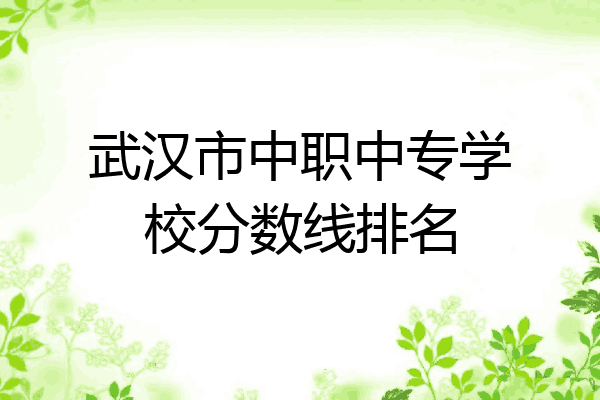 武汉市中职中专学校分数线排名