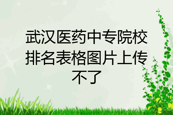 武汉医药中专院校排名表格图片上传不了
