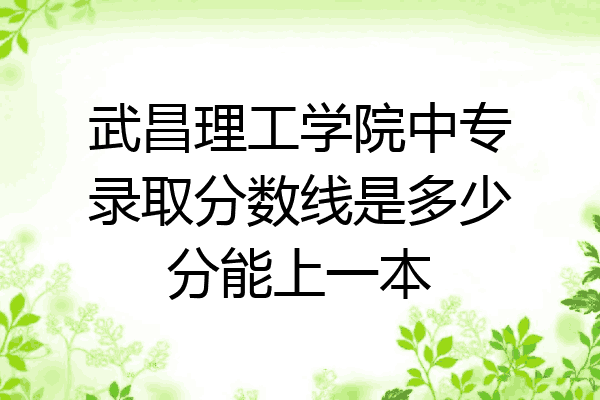 武昌理工学院中专录取分数线是多少分能上一本