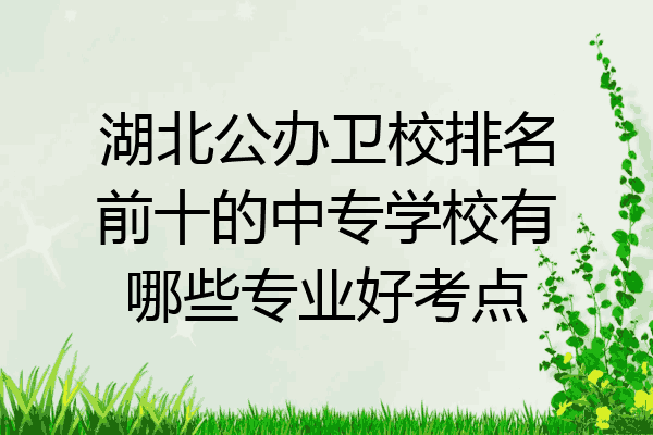 湖北公办卫校排名前十的中专学校有哪些专业好考点