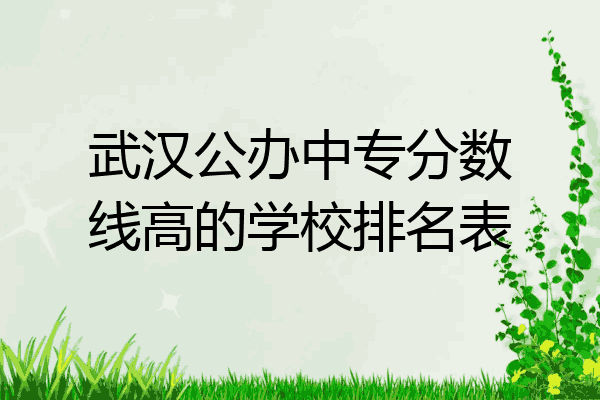 武汉公办中专分数线高的学校排名表