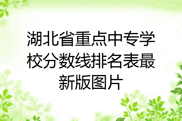 湖北省重点中专学校分数线排名表最新版图片