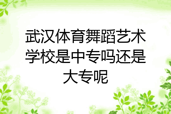 武汉体育舞蹈艺术学校是中专吗还是大专呢