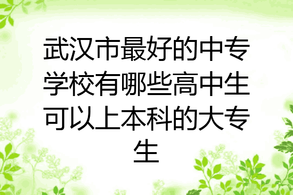 武汉市最好的中专学校有哪些高中生可以上本科的大专生