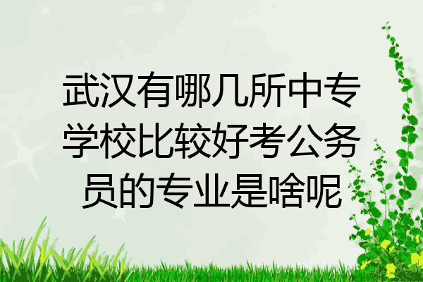 武汉有哪几所中专学校比较好考公务员的专业是啥呢