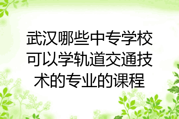 武汉哪些中专学校可以学轨道交通技术的专业的课程
