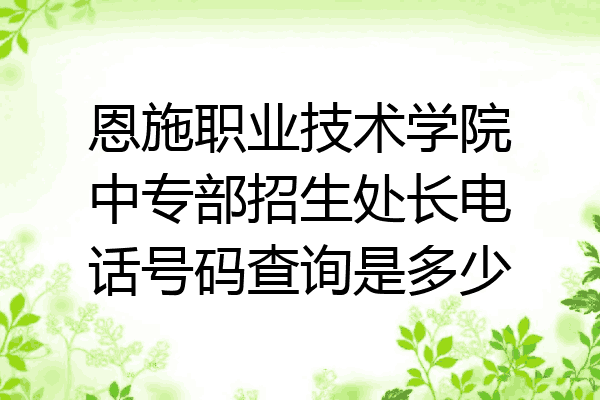 恩施职业技术学院中专部招生处长电话号码查询是多少
