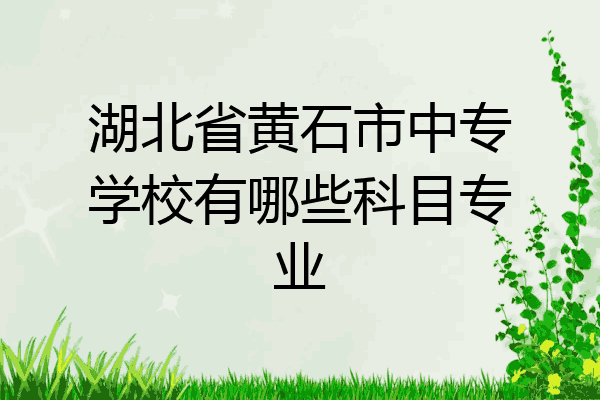 湖北省黄石市中专学校有哪些科目专业