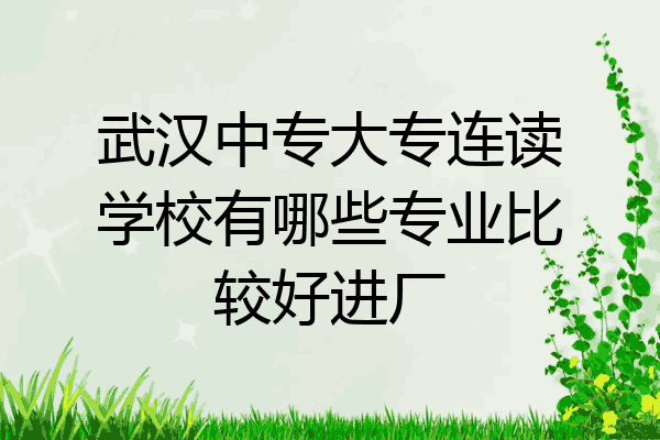武汉中专大专连读学校有哪些专业比较好进厂