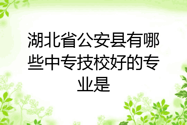 湖北省公安县有哪些中专技校好的专业是