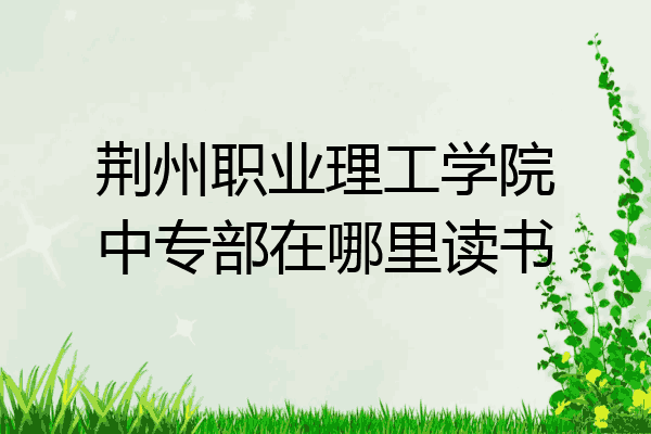 荆州职业理工学院中专部在哪里读书