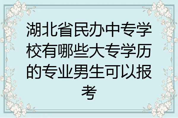 湖北省民办中专学校有哪些大专学历的专业男生可以报考