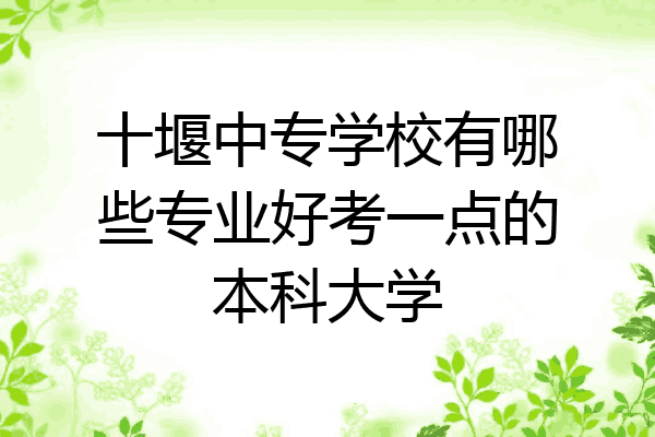 十堰中专学校有哪些专业好考一点的本科大学