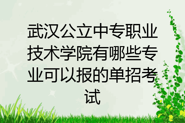 武汉公立中专职业技术学院有哪些专业可以报的单招考试