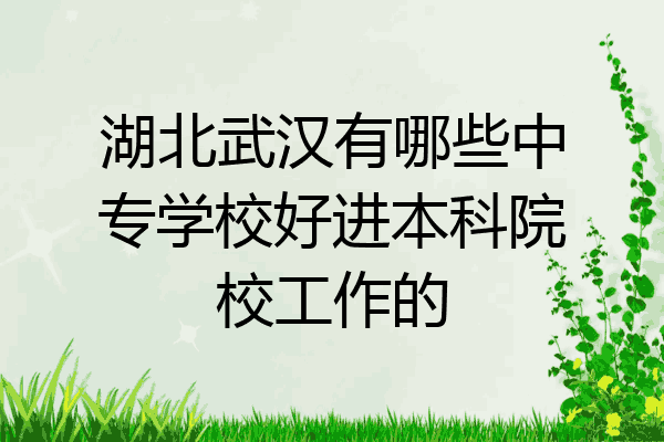 湖北武汉有哪些中专学校好进本科院校工作的