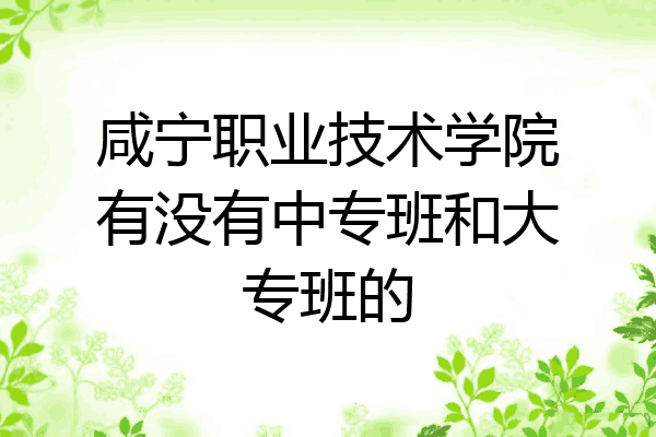 咸宁职业技术学院有没有中专班和大专班的