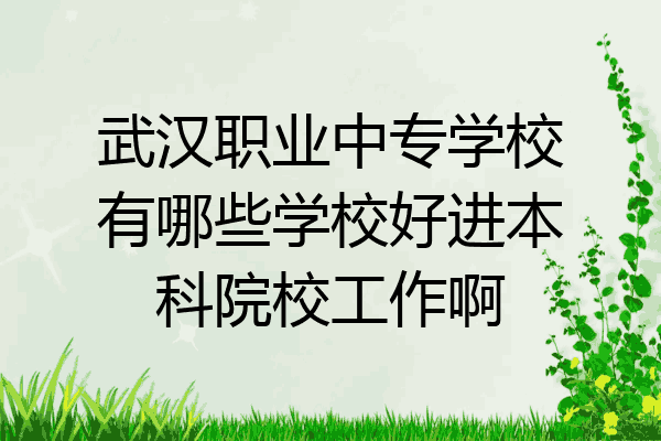 武汉职业中专学校有哪些学校好进本科院校工作啊