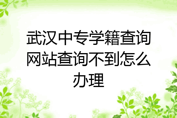 武汉中专学籍查询网站查询不到怎么办理