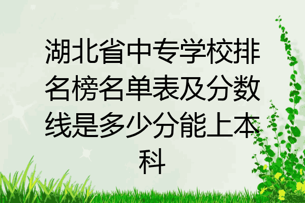 湖北省中专学校排名榜名单表及分数线是多少分能上本科