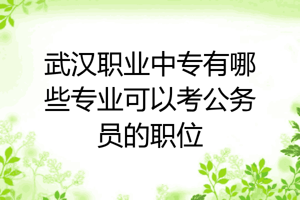 武汉职业中专有哪些专业可以考公务员的职位