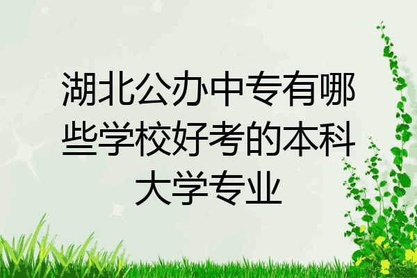 湖北公办中专有哪些学校好考的本科大学专业
