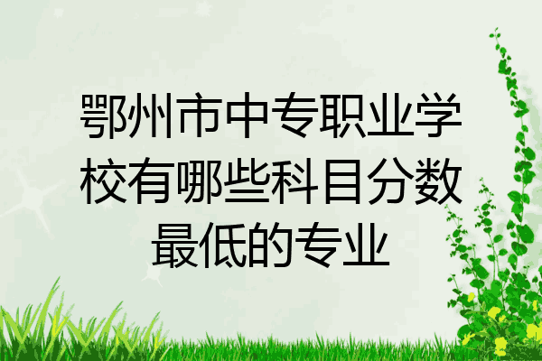 鄂州市中专职业学校有哪些科目分数最低的专业
