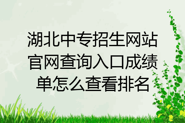 湖北中专招生网站官网查询入口成绩单怎么查看排名