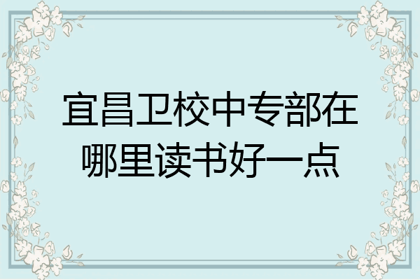 宜昌卫校中专部在哪里读书好一点