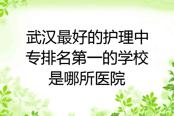 武汉最好的护理中专排名第一的学校是哪所医院