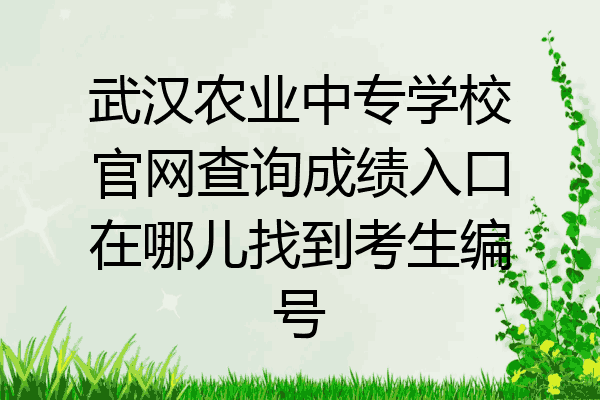 武汉农业中专学校官网查询成绩入口在哪儿找到考生编号