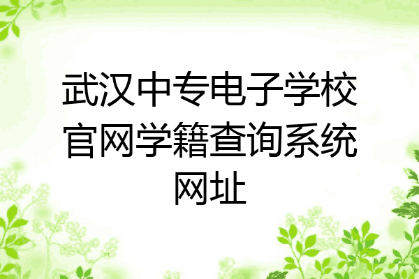 武汉中专电子学校官网学籍查询系统网址