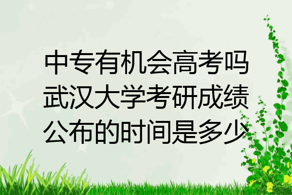 中专有机会高考吗武汉大学考研成绩公布的时间是多少