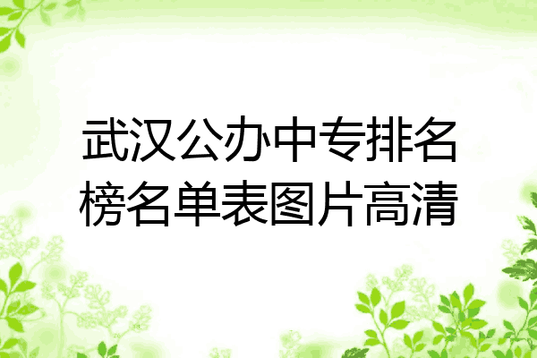 武汉公办中专排名榜名单表图片高清