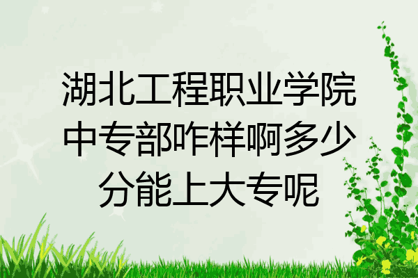 湖北工程职业学院中专部咋样啊多少分能上大专呢
