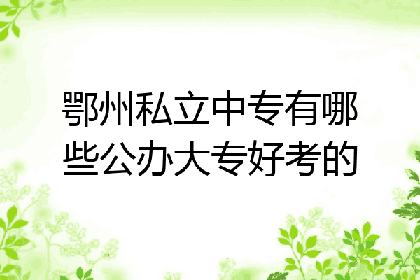 鄂州私立中专有哪些公办大专好考的
