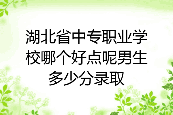 湖北省中专职业学校哪个好点呢男生多少分录取