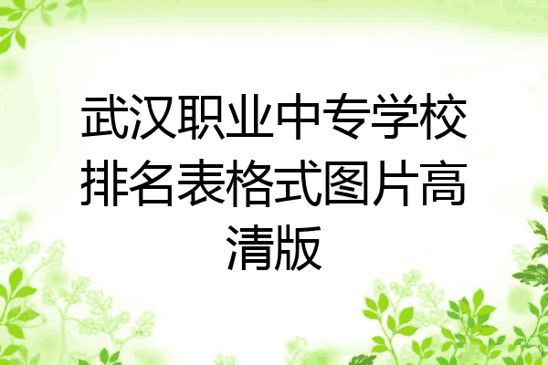 武汉职业中专学校排名表格式图片高清版