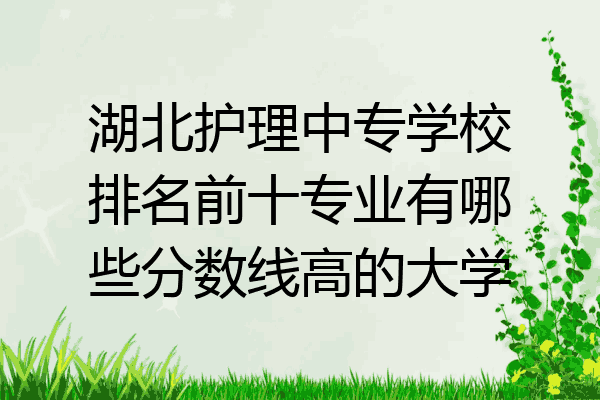 湖北护理中专学校排名前十专业有哪些分数线高的大学