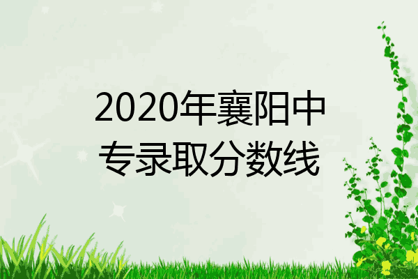 2020年襄阳中专录取分数线