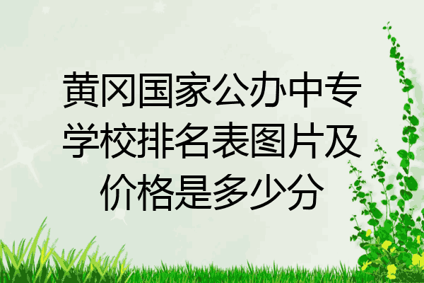 黄冈国家公办中专学校排名表图片及价格是多少分
