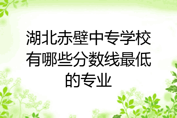 湖北赤壁中专学校有哪些分数线最低的专业
