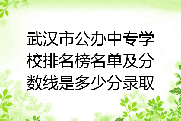 武汉市公办中专学校排名榜名单及分数线是多少分录取