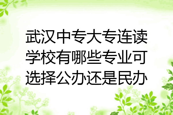 武汉中专大专连读学校有哪些专业可选择公办还是民办